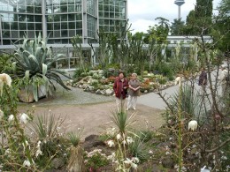  Jahresausflug Frankfurt Palmengarten 33